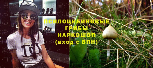 а пвп мука Балахна