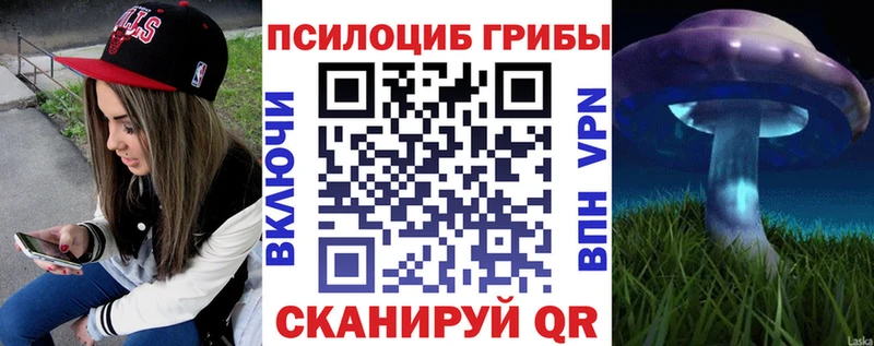 блэк спрут ТОР  Новый Оскол  Галлюциногенные грибы GOLDEN TEACHER 